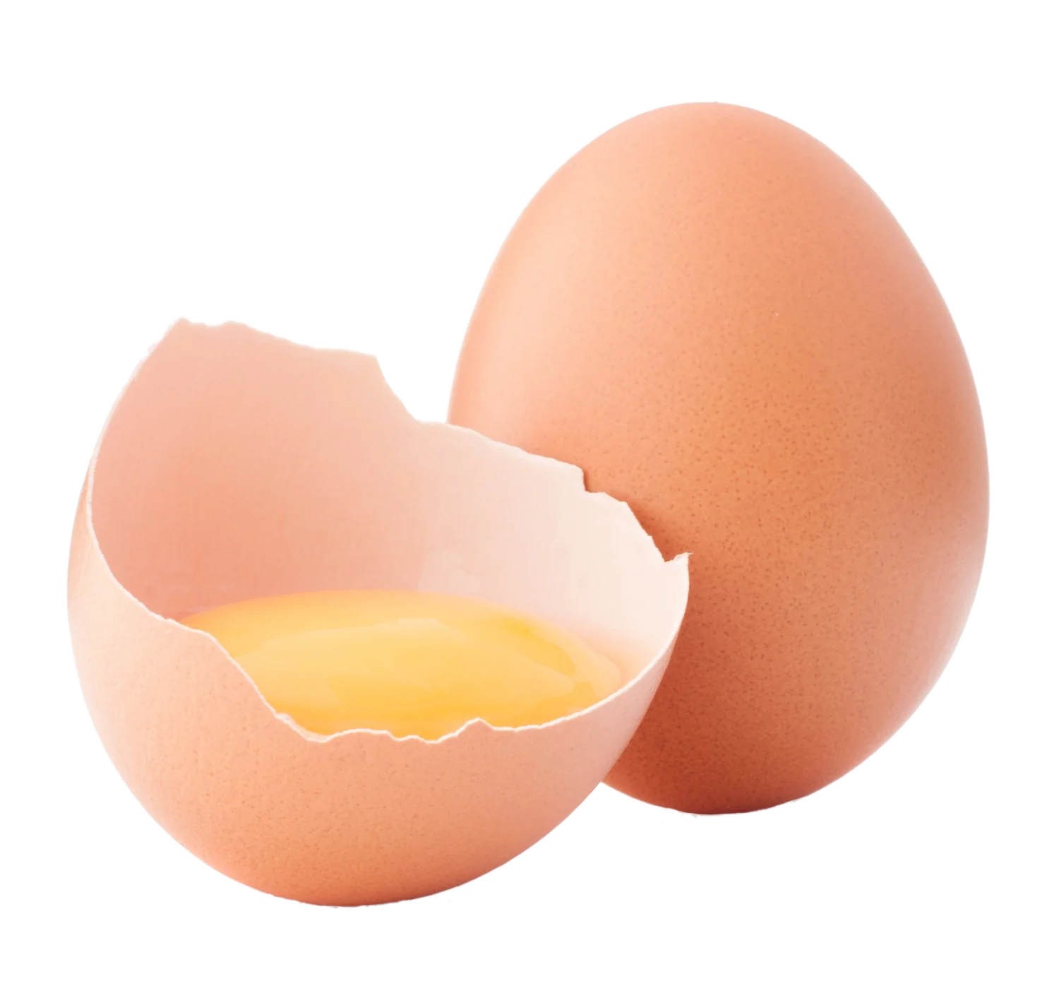 egg