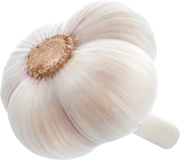 onion